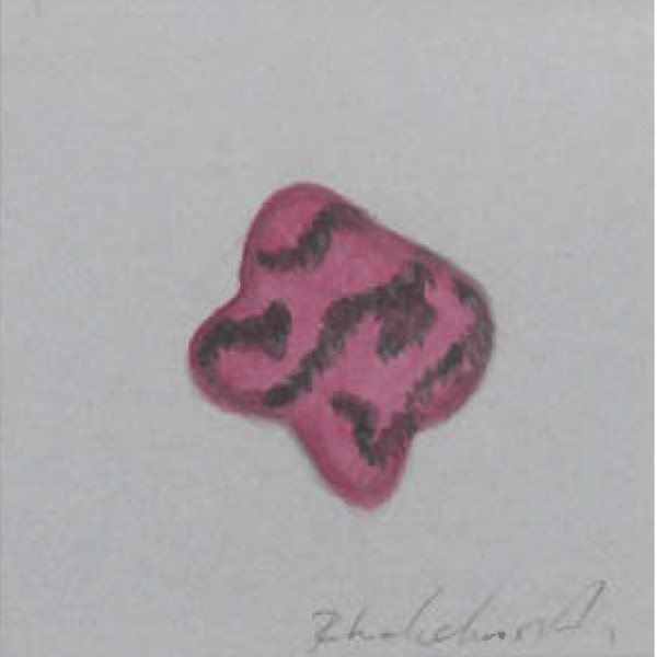 rhodonite illustration by Nelly Creative Studios