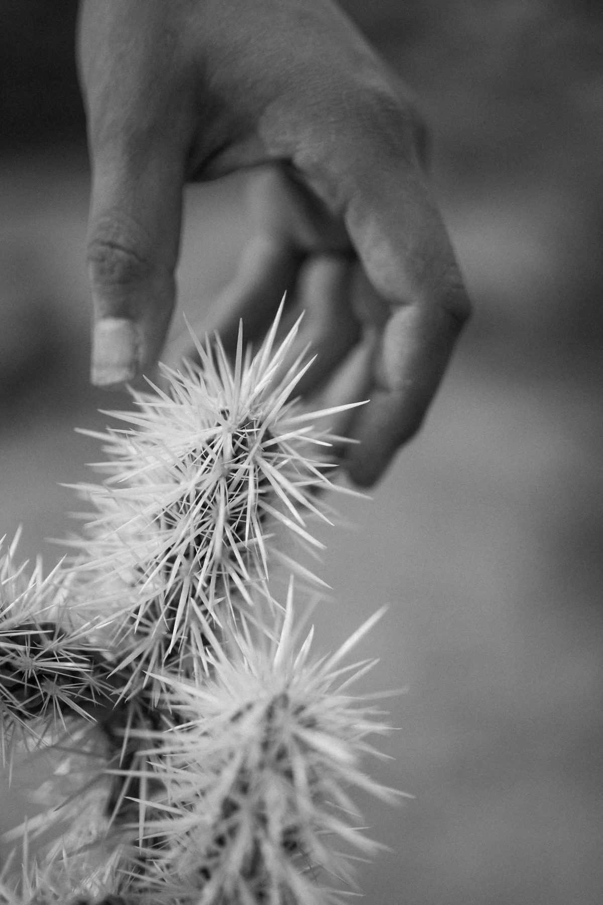 Dreams and Desires — Nelly Creative Studios Journal