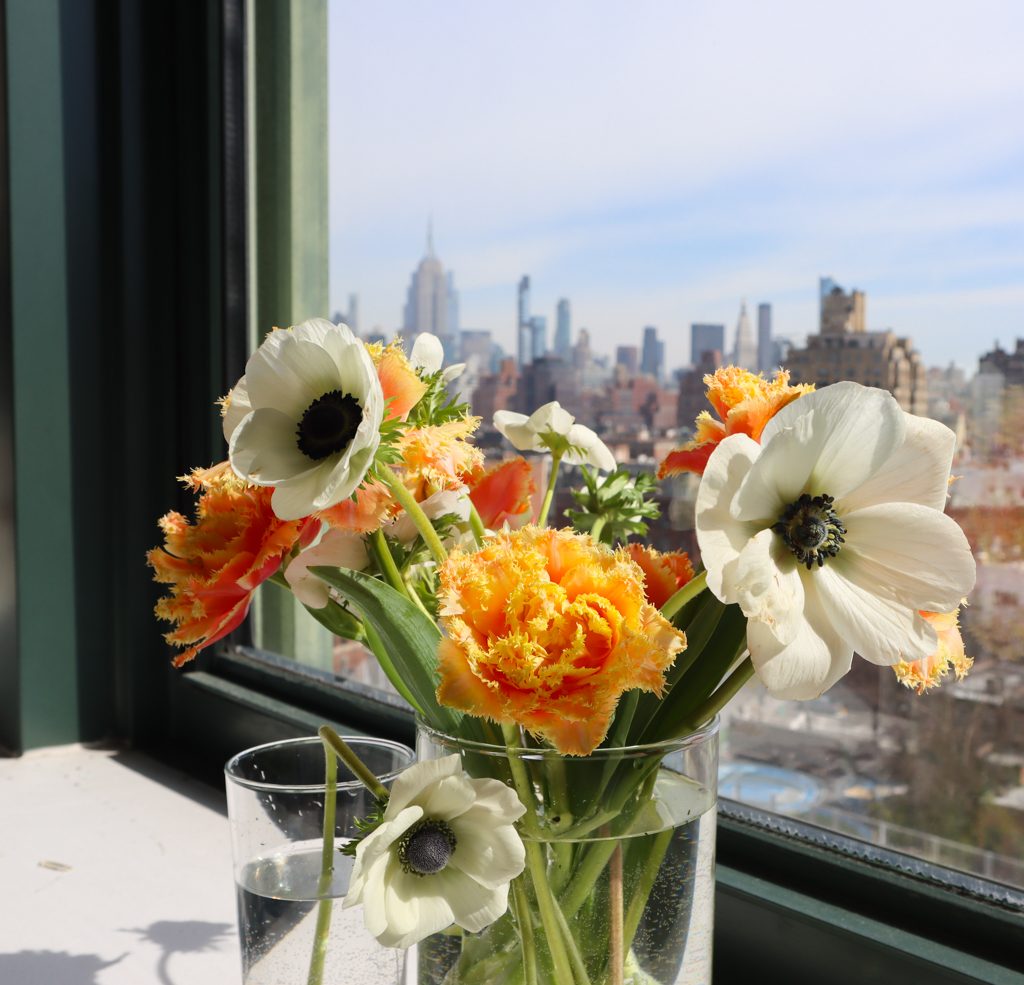 Parrot tulips and anemones against the New York City skyline — Union Square Greenmarket, March 2026